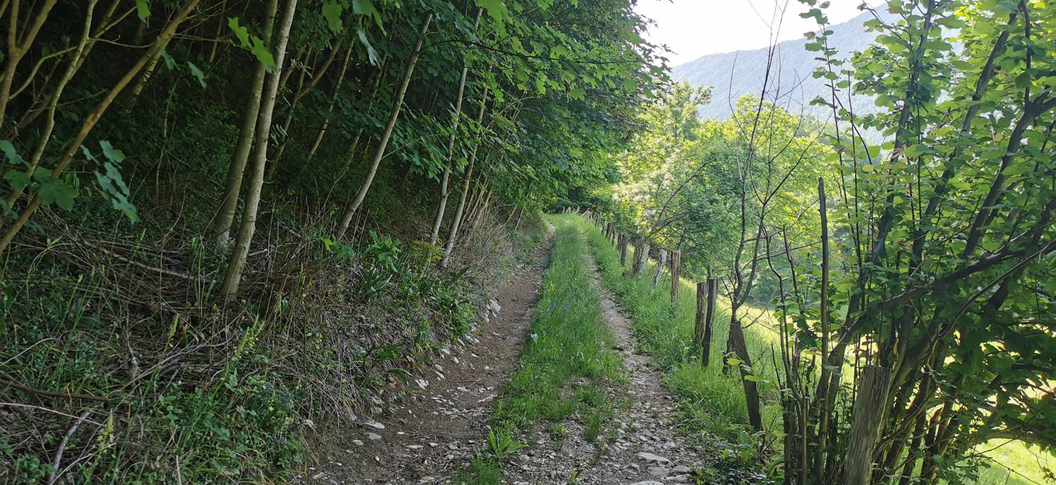Ladra - Cerkev Svetega duha Libušnje slika 16