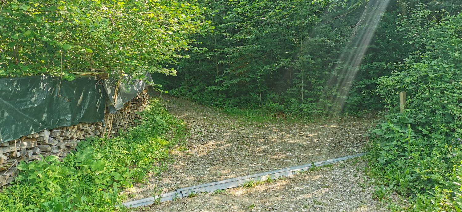Ladra - Cerkev Svetega duha Libušnje slika 14