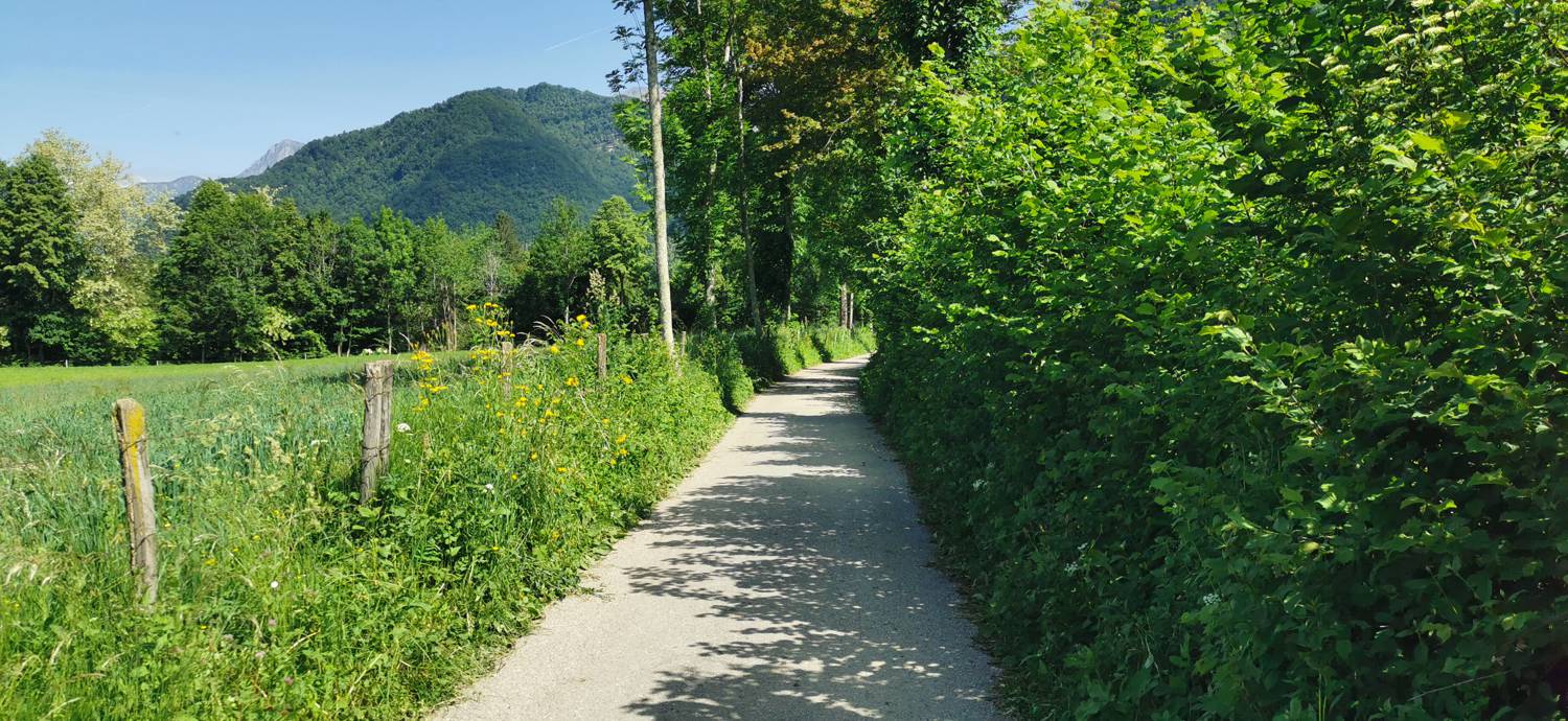 Ladra - Cerkev Svetega duha Libušnje slika 12