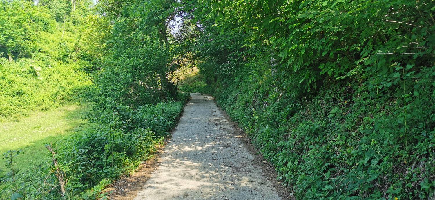 Ladra - Cerkev Svetega duha Libušnje slika 9