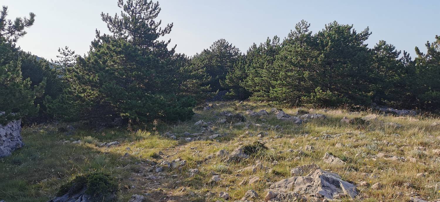 Parkirišče pod cerkvijo Svetega Ivana - Zakam slika 16
