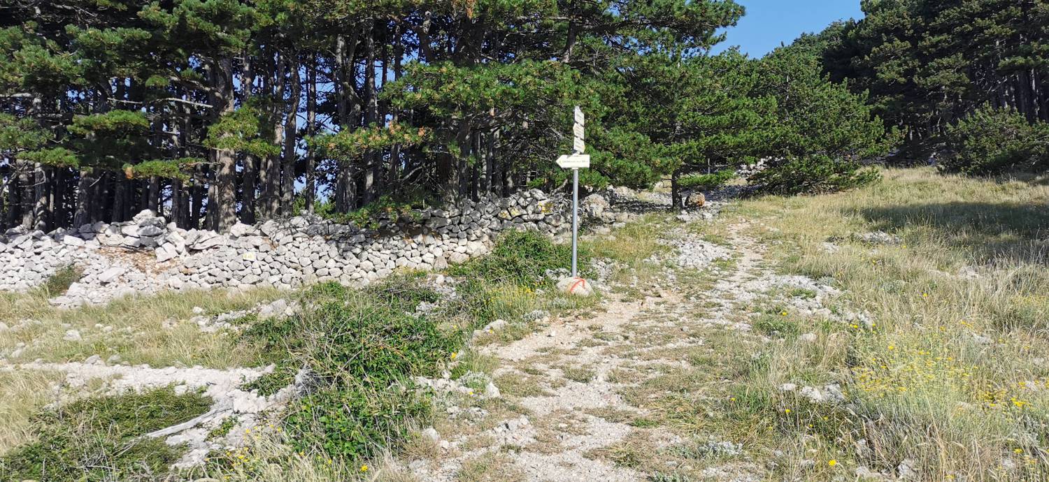 Parkirišče pod cerkvijo Svetega Ivana - Zakam slika 15