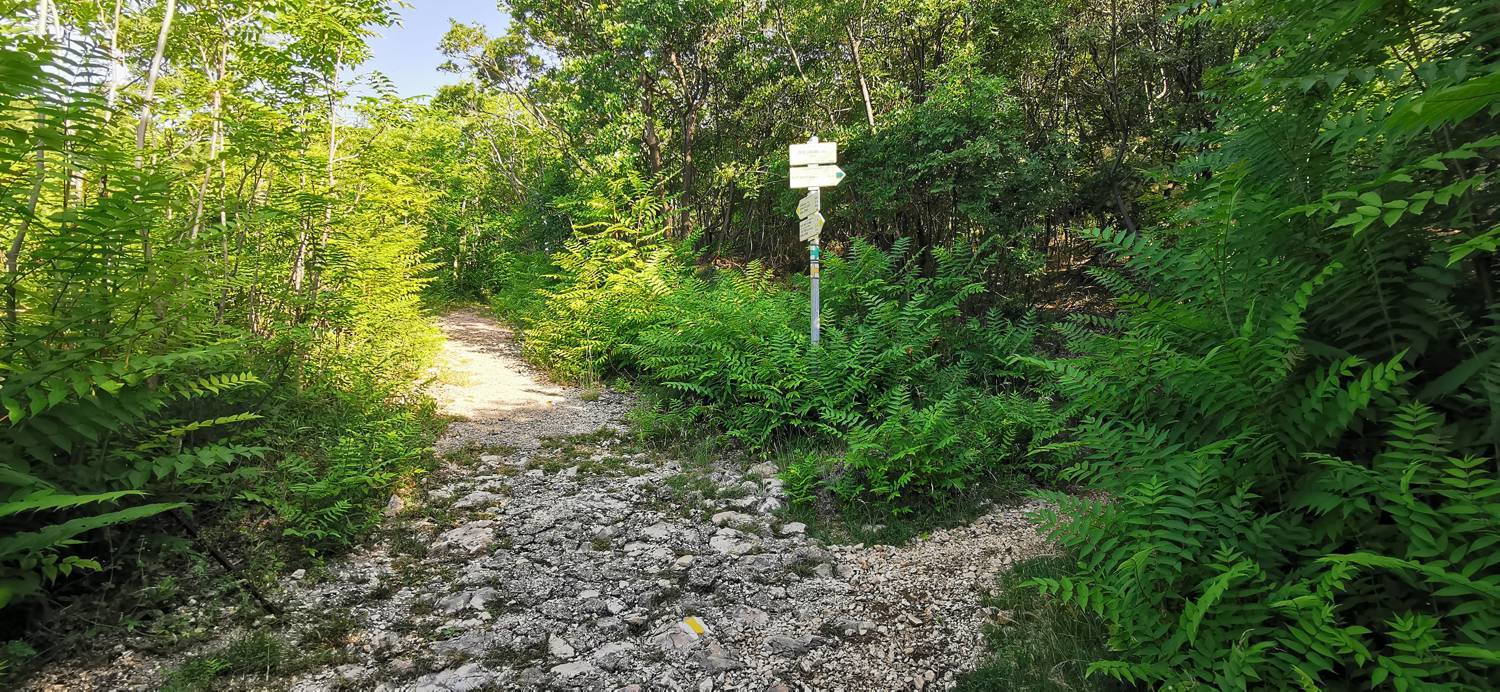 Parkirišče pod cerkvijo Svetega Ivana - Zakam slika 12