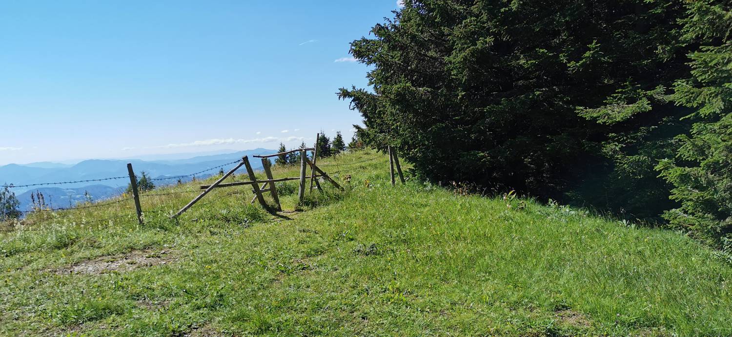 Planinska Ravna - Javorca (Golte) slika 39