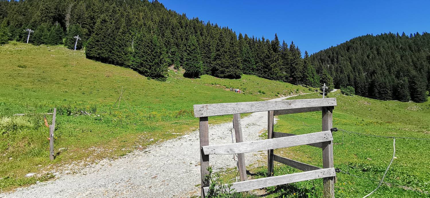 Golte - Golte slika 3