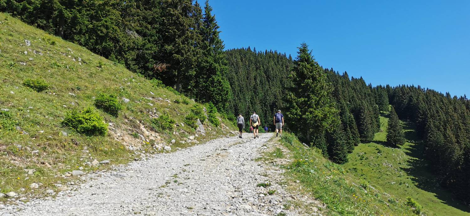 Golte - Golte slika 4