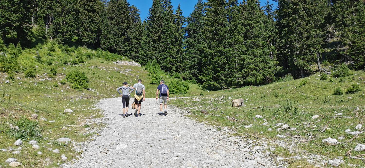 Golte - Golte slika 5