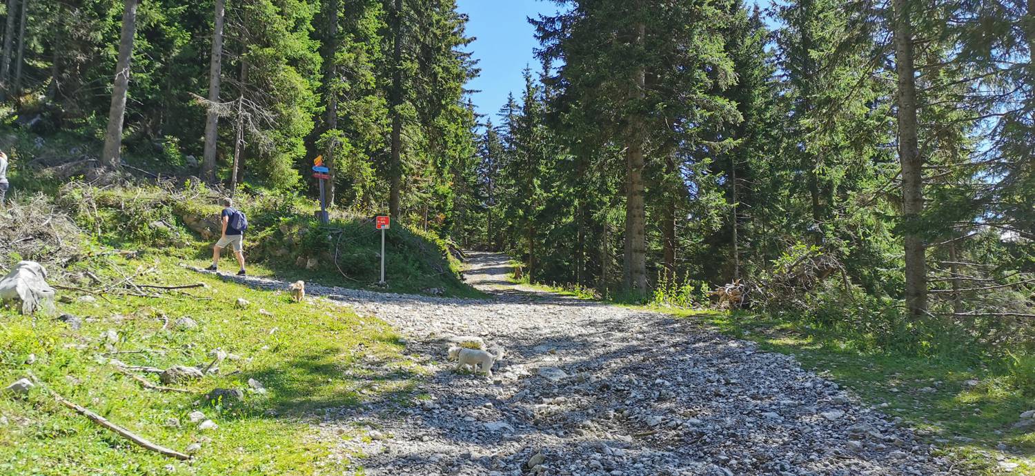 Golte - Golte slika 6