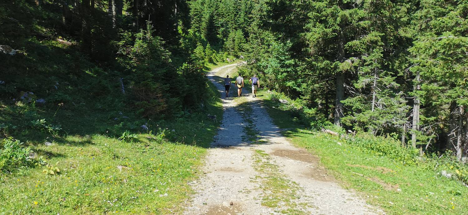 Golte - Golte slika 8