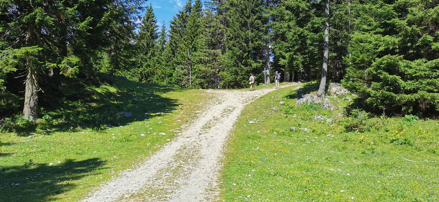 Golte - Golte slika 9