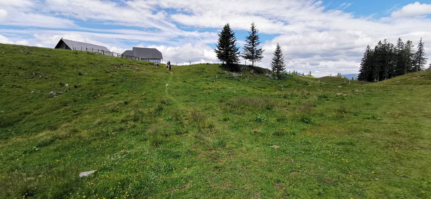 Golte - Golte slika 17