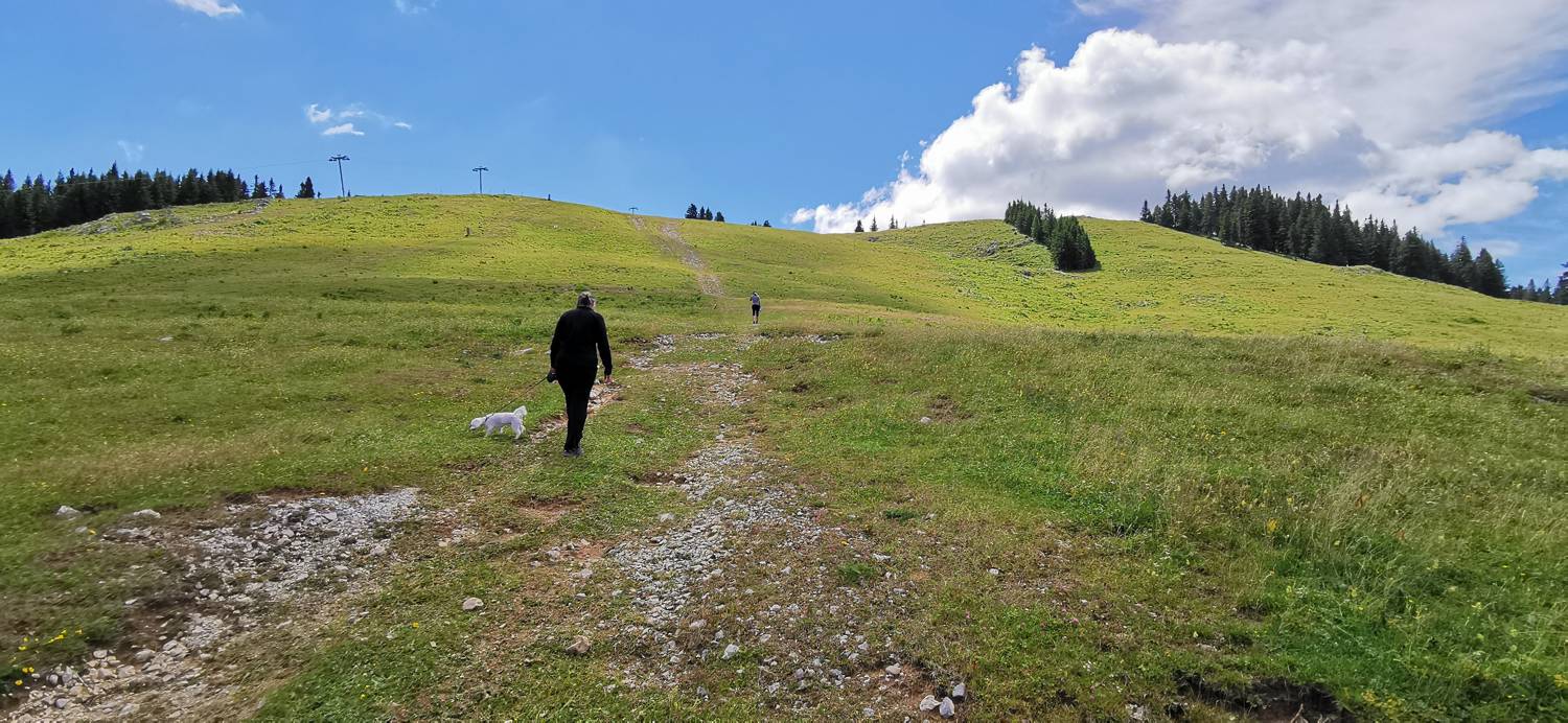 Golte - Golte slika 21