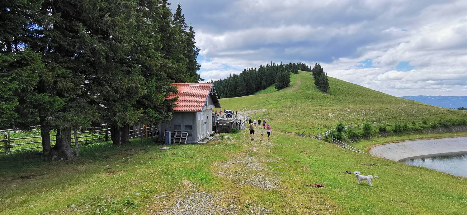 Golte - Golte slika 30