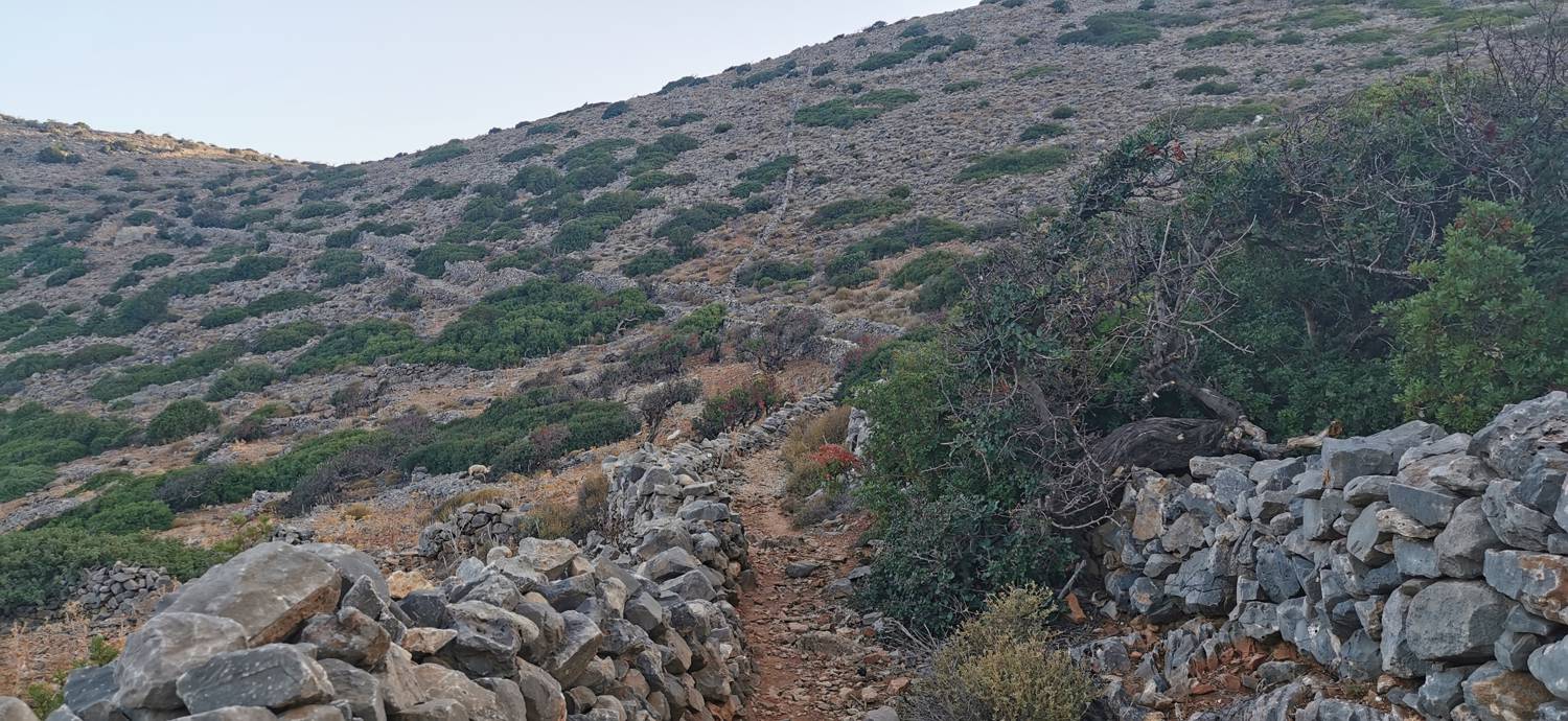 Kmetija na Kalydonu - Ekklisia Agios Ioannis slika 7