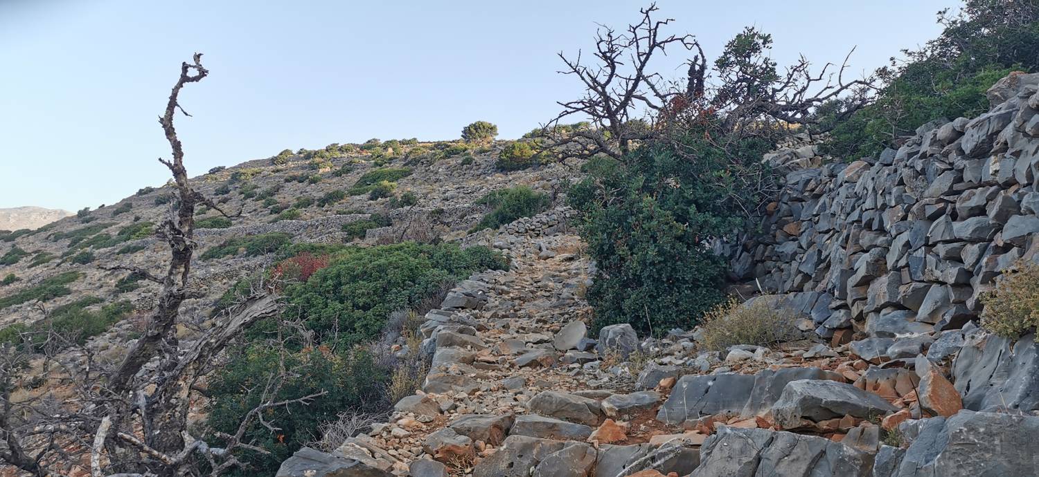 Kmetija na Kalydonu - Ekklisia Agios Ioannis slika 10