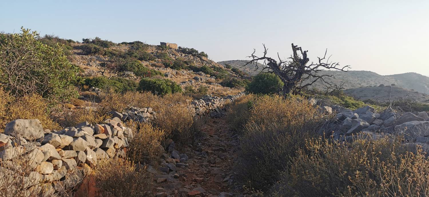 Kmetija na Kalydonu - Ekklisia Agios Ioannis slika 12