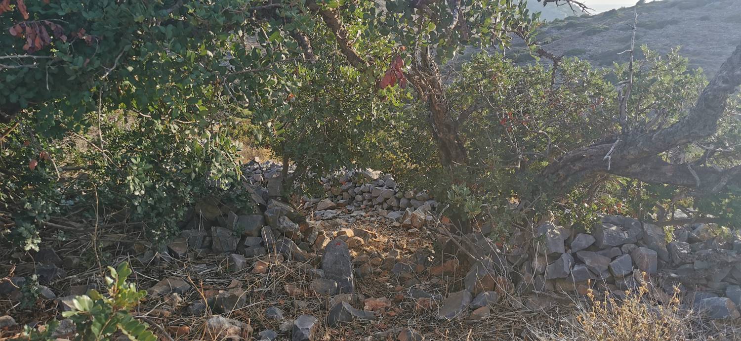 Kmetija na Kalydonu - Ekklisia Agios Ioannis slika 19