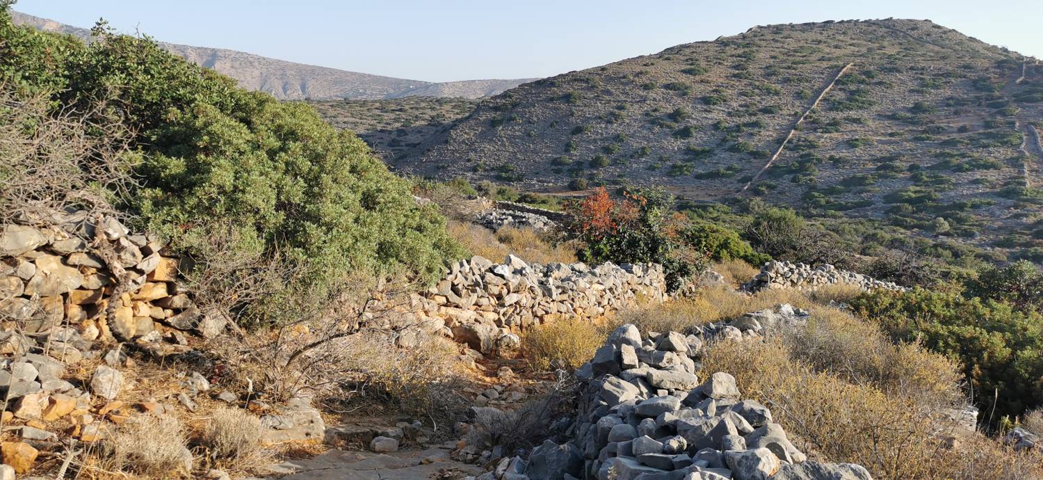 Kmetija na Kalydonu - Ekklisia Agios Ioannis slika 20