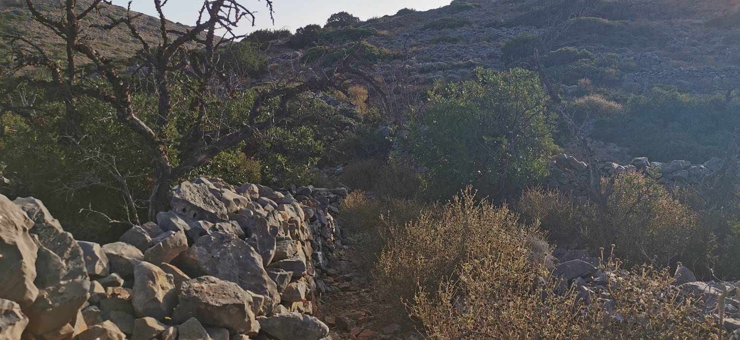 Kmetija na Kalydonu - Ekklisia Agios Ioannis slika 21