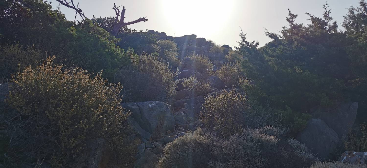 Kmetija na Kalydonu - Ekklisia Agios Ioannis slika 25