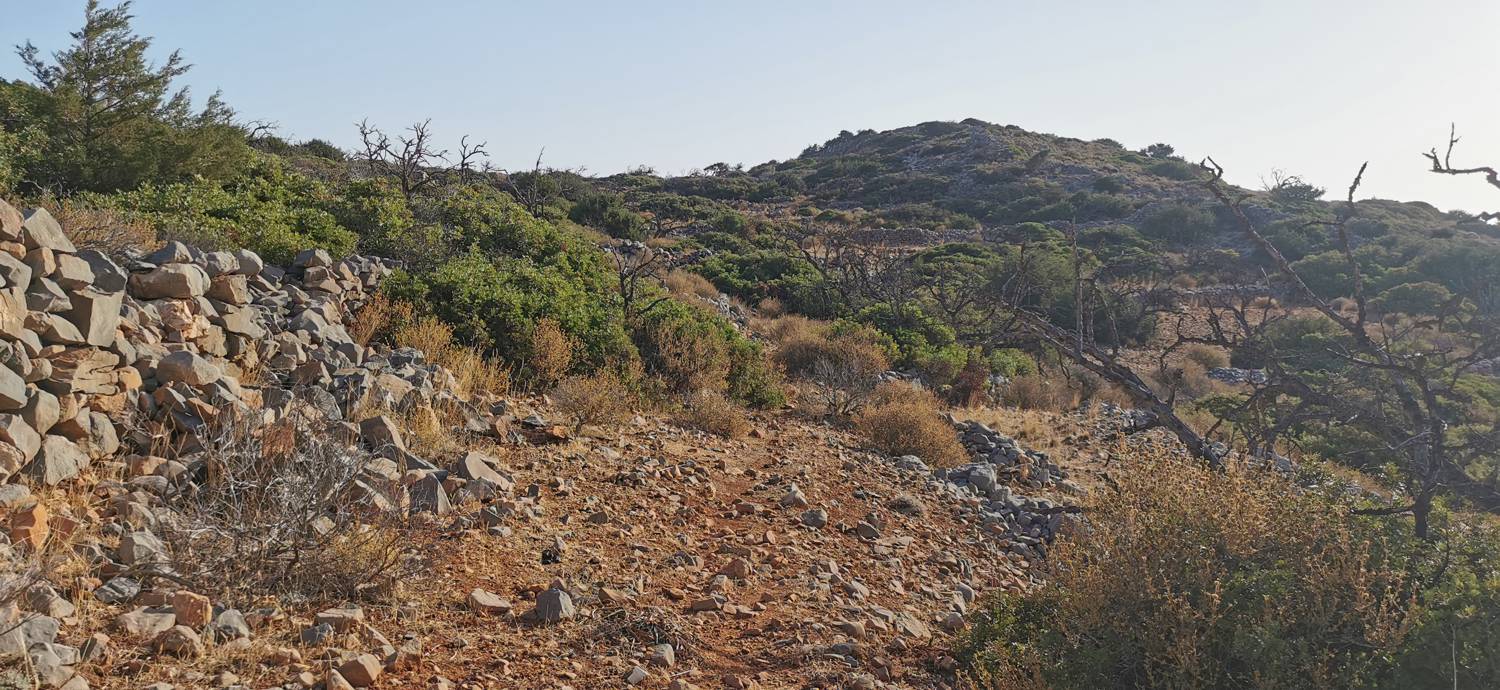 Kmetija na Kalydonu - Ekklisia Agios Ioannis slika 29