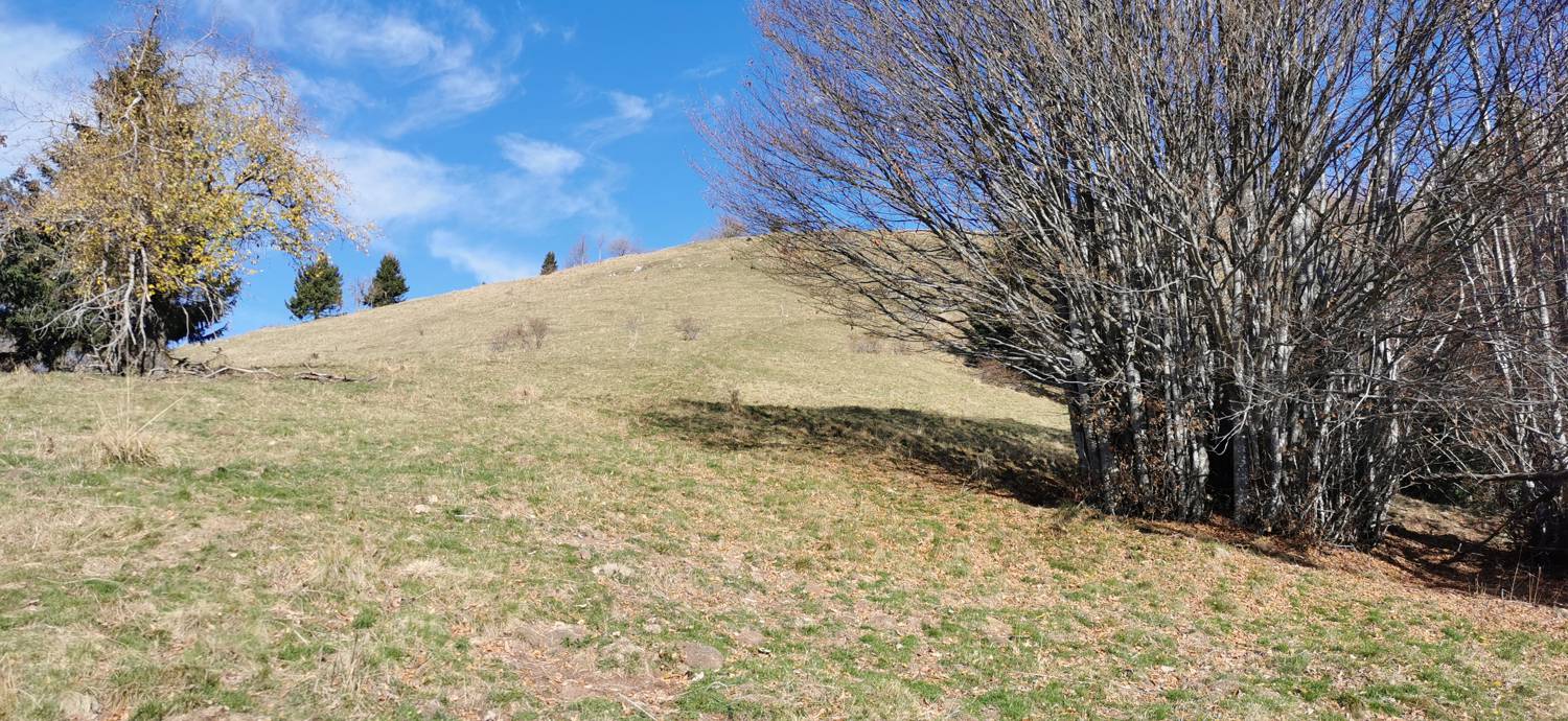 Planina Kuhinja - Planica pod Krnom slika 54