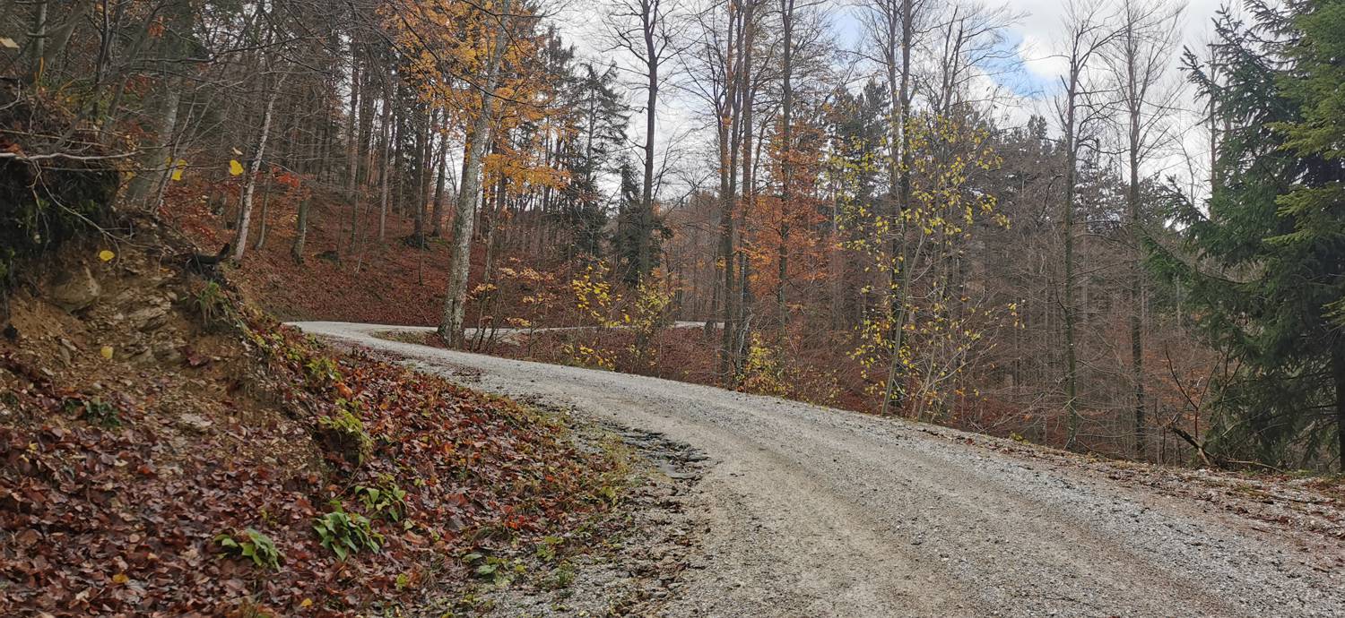 Lovska koča Lasce - Vrhovec (Šebreljski vrh) slika 6