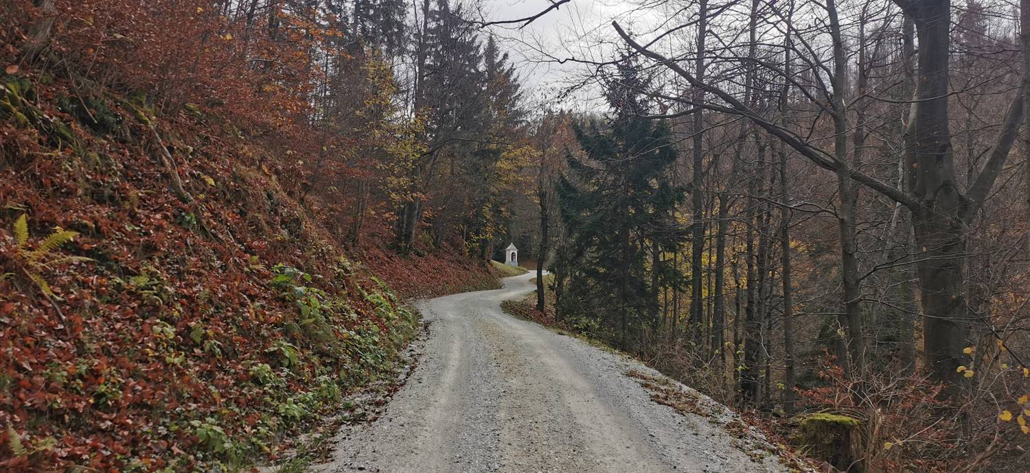 Lovska koča Lasce - Vrhovec (Šebreljski vrh) slika 7