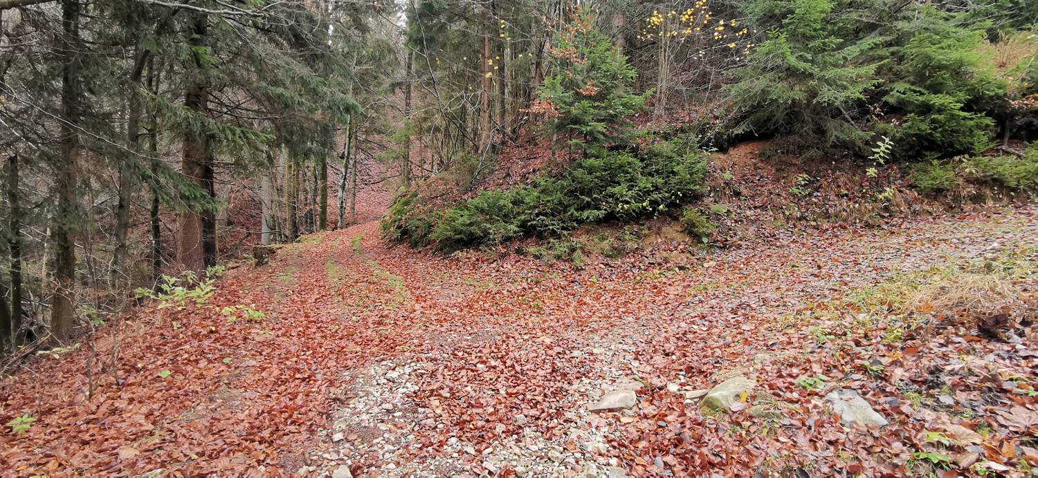 Lovska koča Lasce - Vrhovec (Šebreljski vrh) slika 10