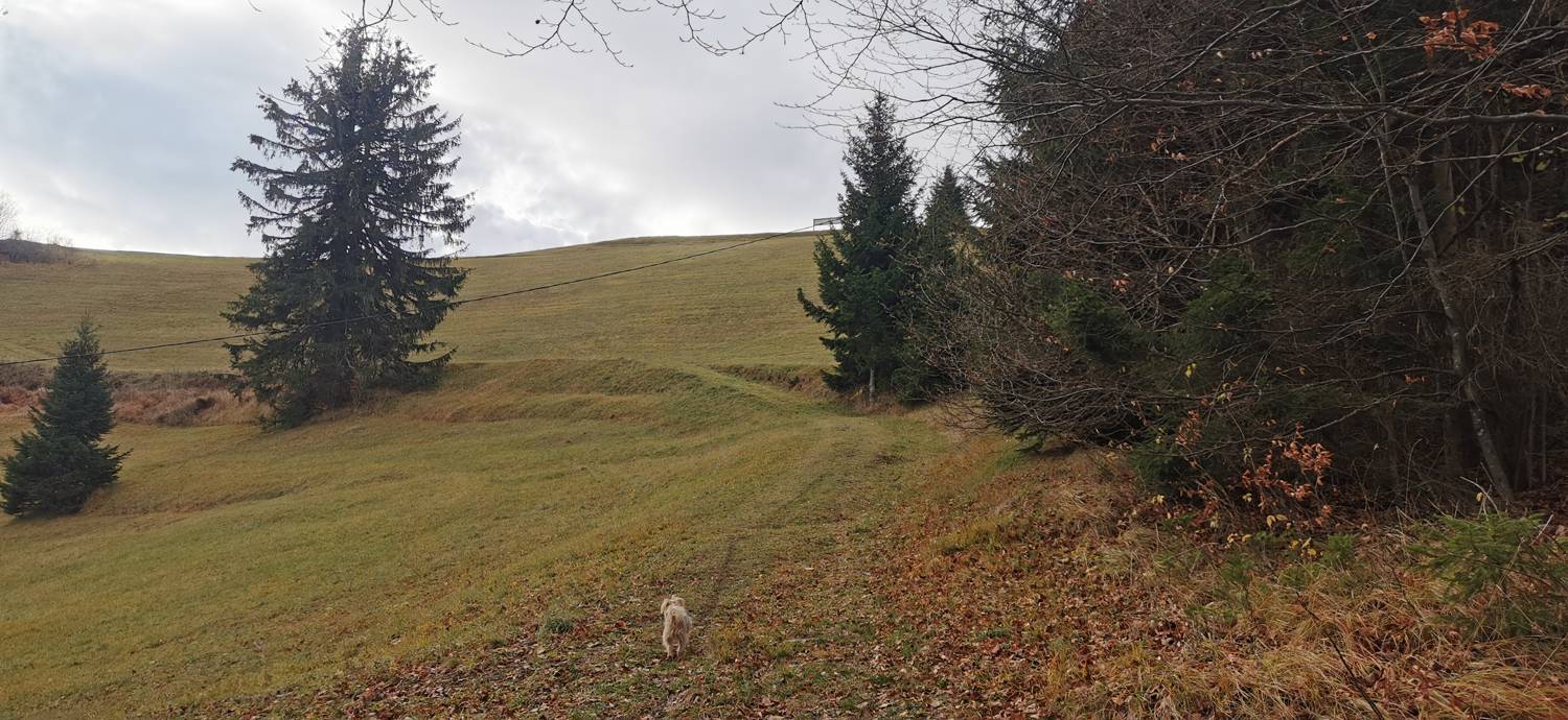 Lovska koča Lasce - Vrhovec (Šebreljski vrh) slika 11