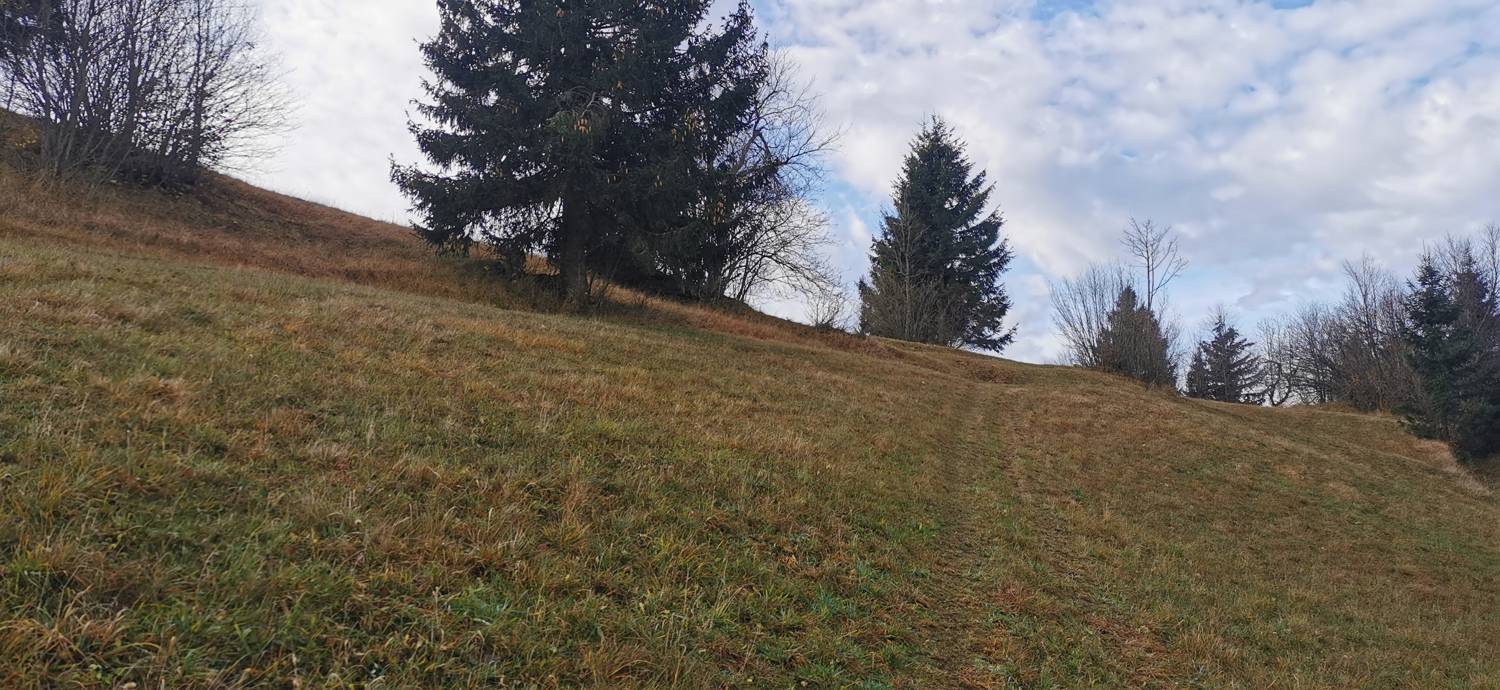 Lovska koča Lasce - Vrhovec (Šebreljski vrh) slika 14