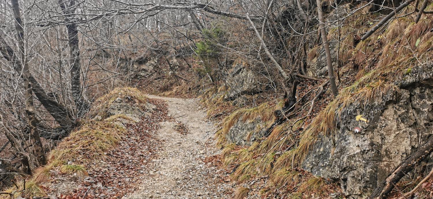 Planina - Cerkev Sv. Marije na Planinski gori slika 20