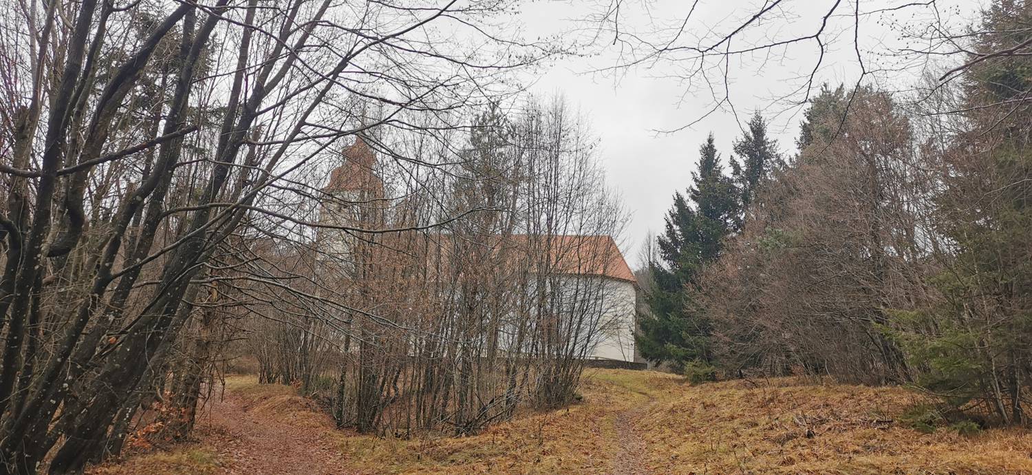Planina - Cerkev Sv. Marije na Planinski gori slika 21