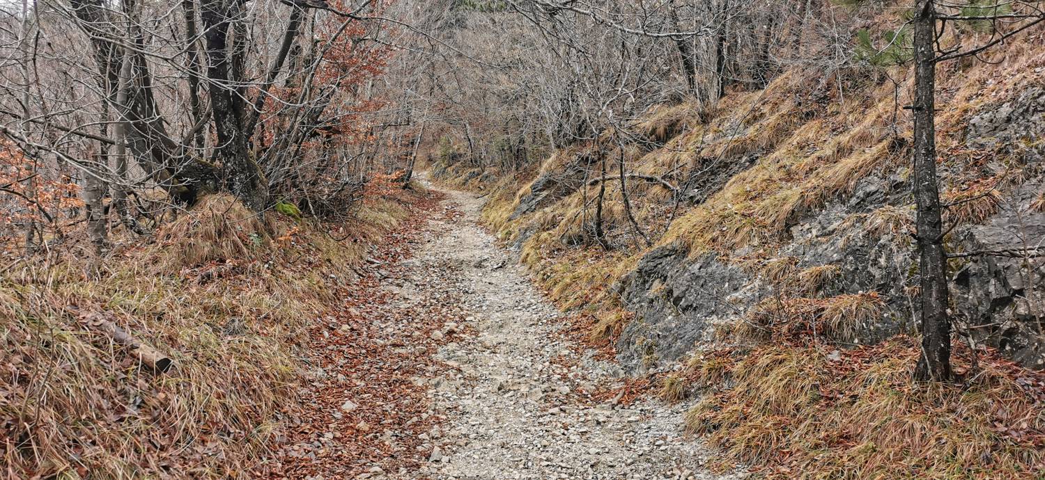 Planina - Cerkev Sv. Marije na Planinski gori slika 18