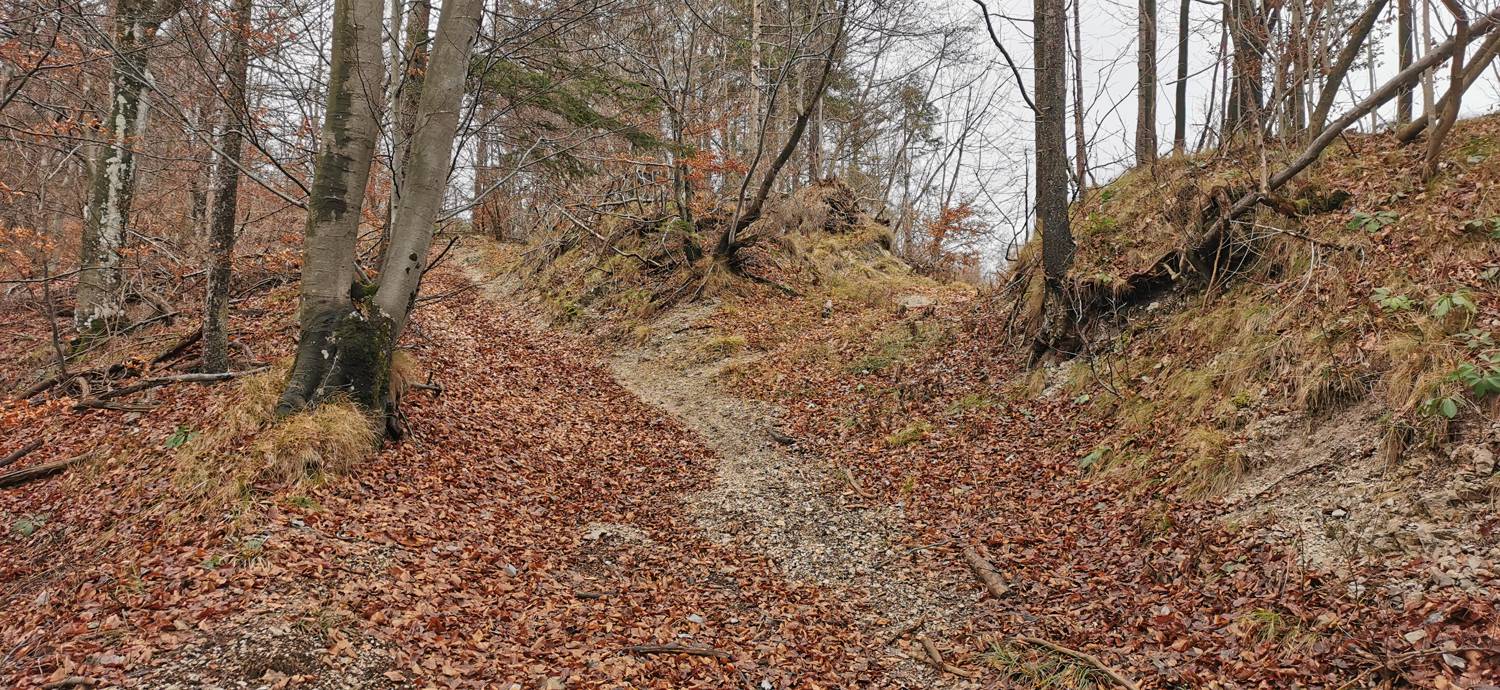 Planina - Cerkev Sv. Marije na Planinski gori slika 12