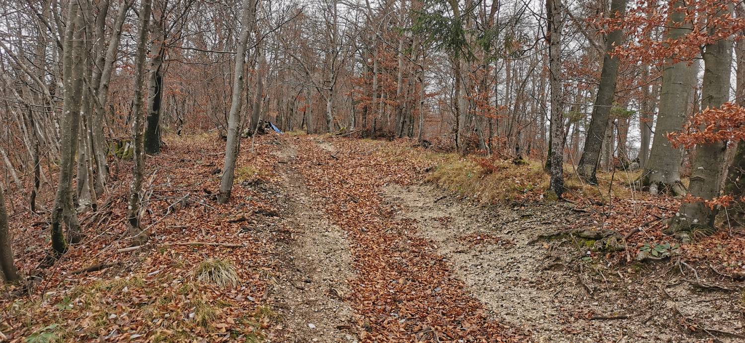 Planina - Cerkev Sv. Marije na Planinski gori slika 9