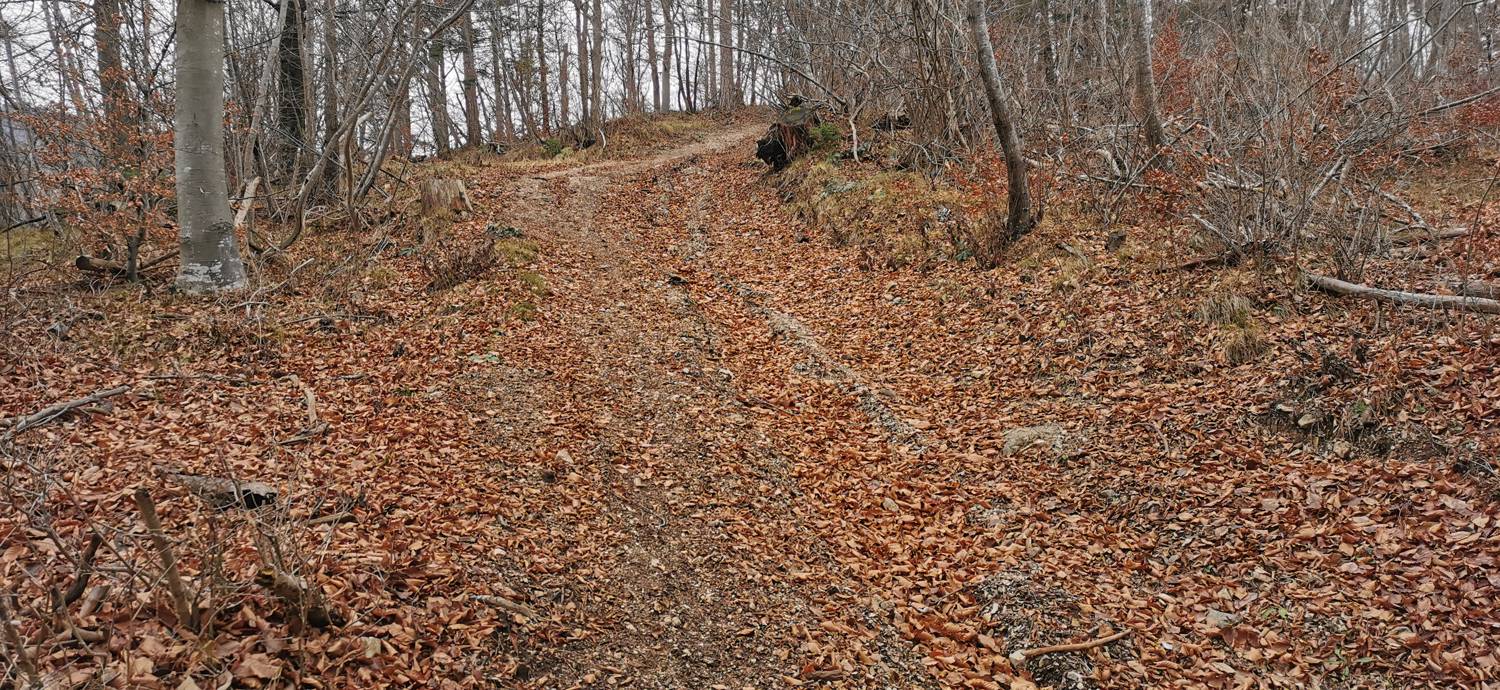 Planina - Cerkev Sv. Marije na Planinski gori slika 8