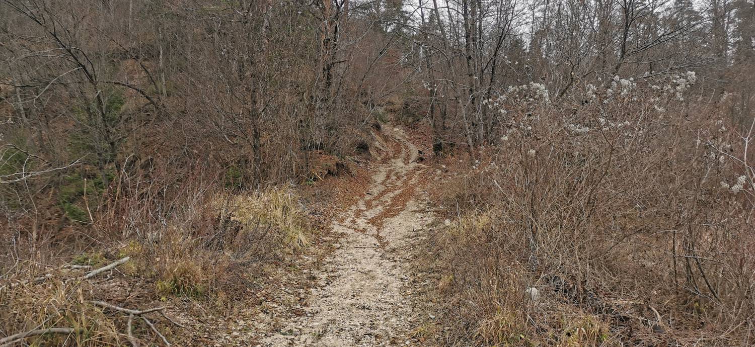 Planina - Cerkev Sv. Marije na Planinski gori slika 6