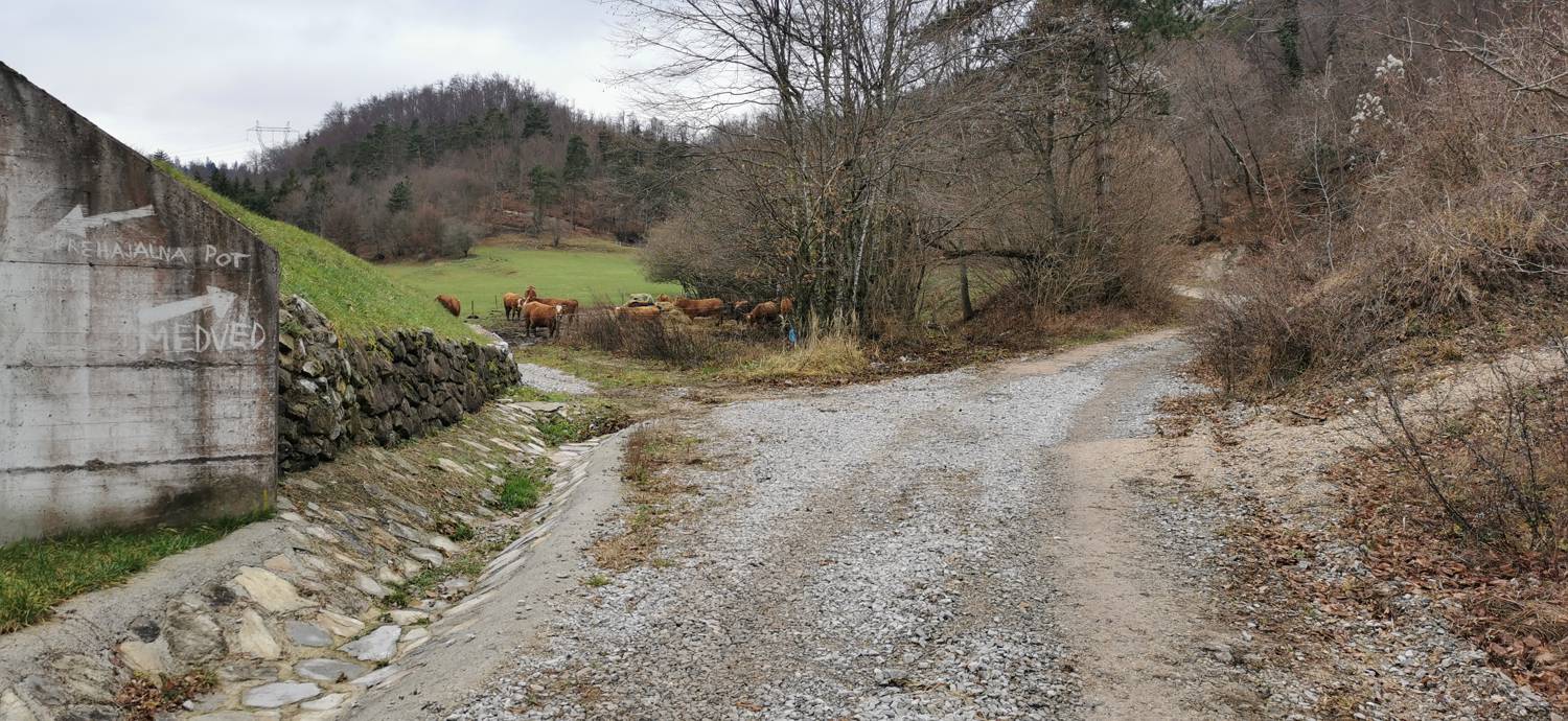 Planina - Cerkev Sv. Marije na Planinski gori slika 5