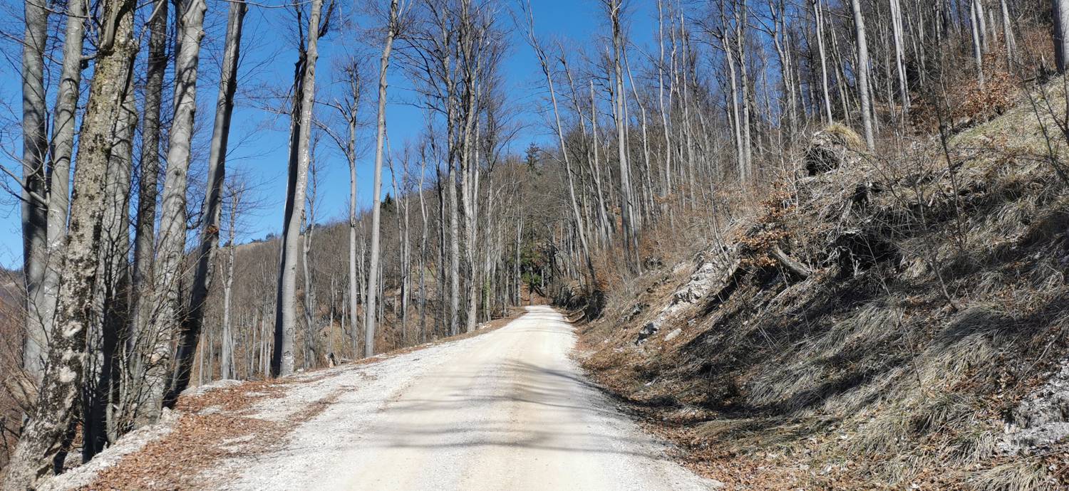 Lohača - Lipovec nad Lohačo slika 8