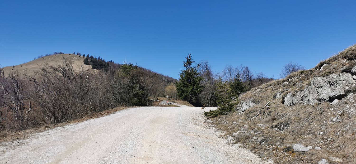 Lohača - Lipovec nad Lohačo slika 10