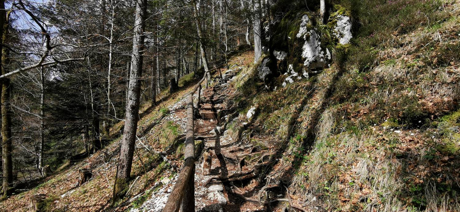 Koča pri Peričniku - Slap Peričnik slika 4