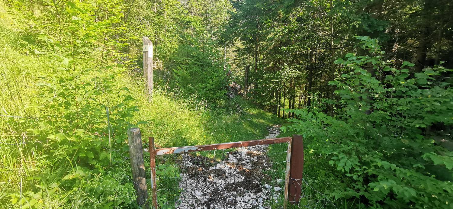 Možnica - Korita Nemčije (Možnica) slika 6