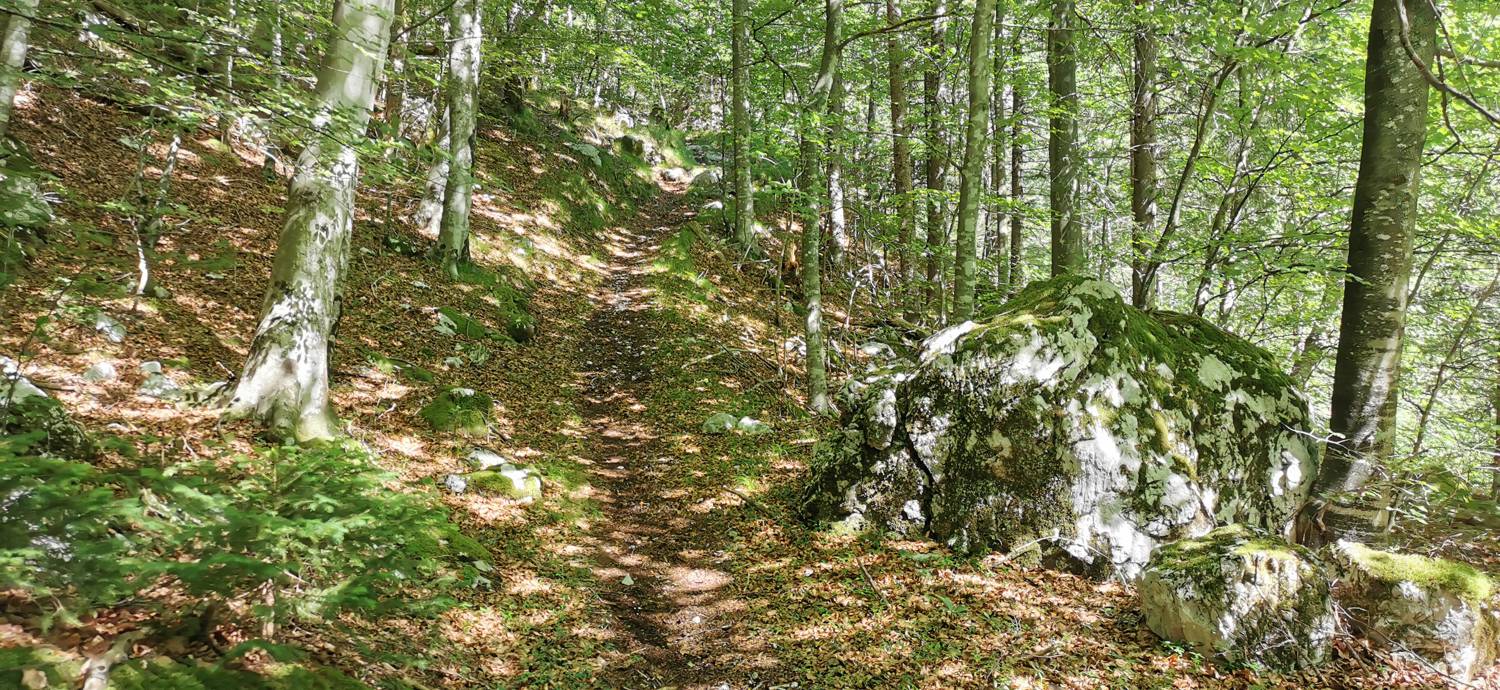 Možnica - Korita Nemčije (Možnica) slika 14