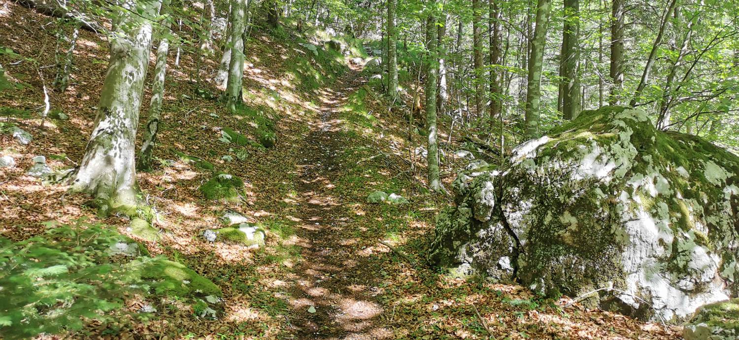 Možnica - Korita Nemčije (Možnica) slika 15