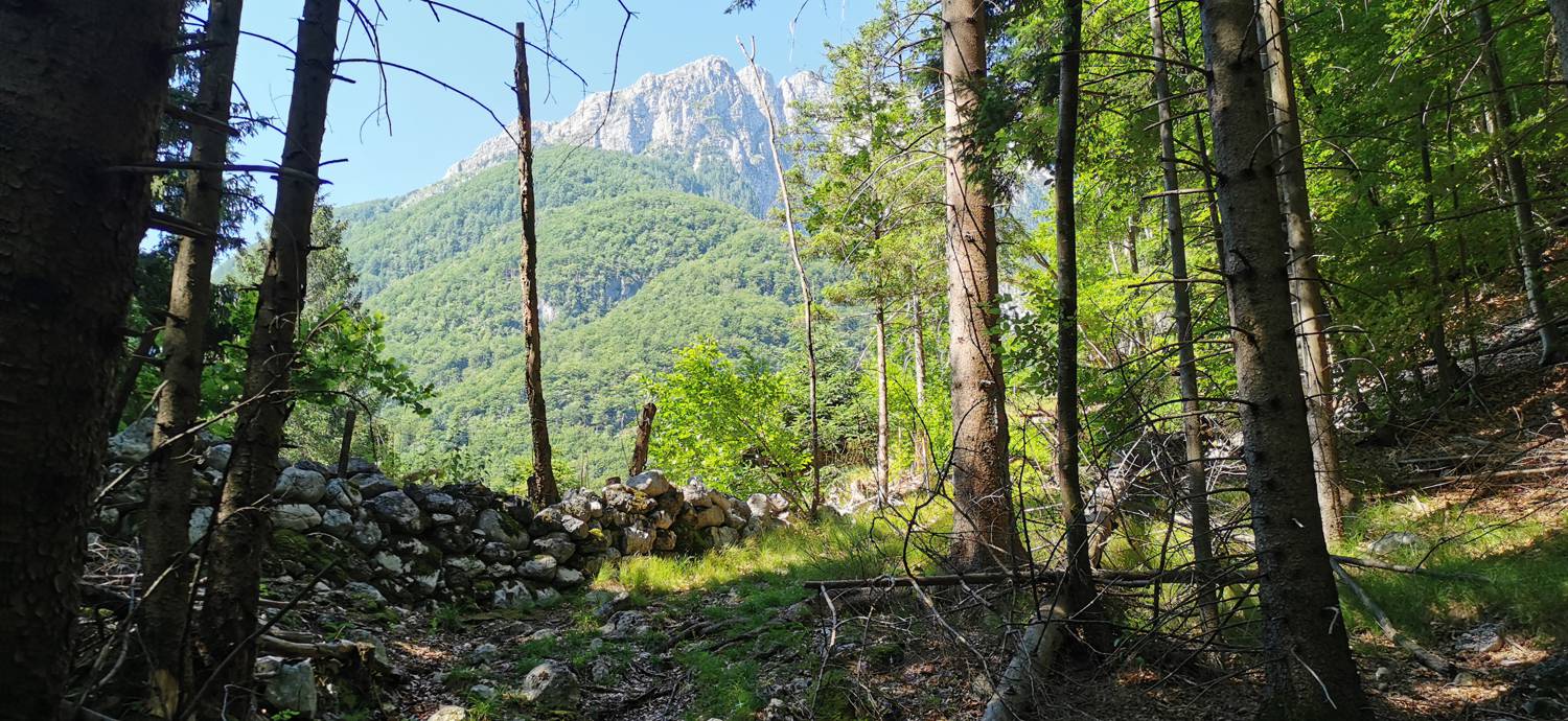 Možnica - Korita Nemčije (Možnica) slika 17