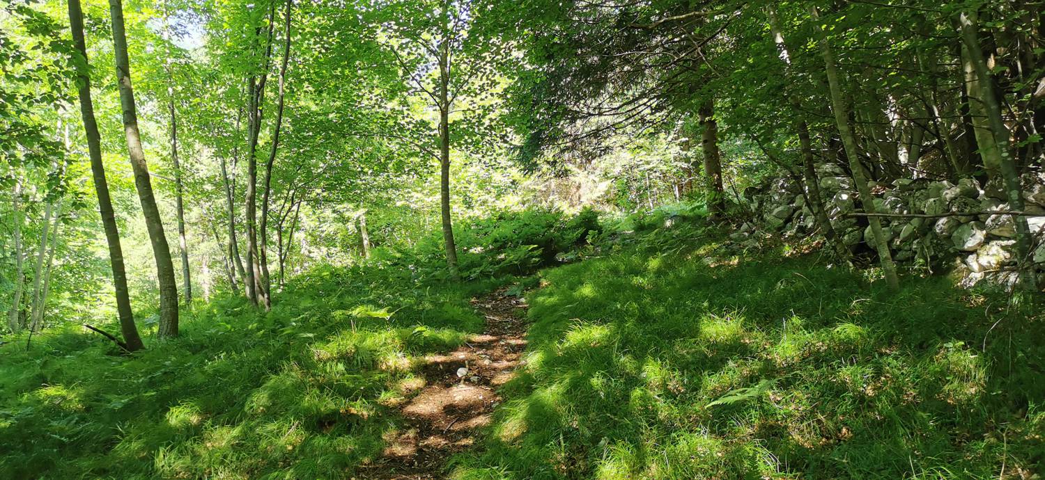 Možnica - Korita Nemčije (Možnica) slika 20