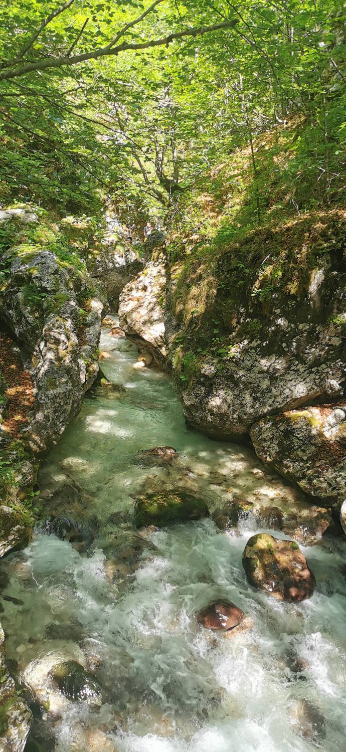 Možnica - Korita Nemčije (Možnica) slika 37