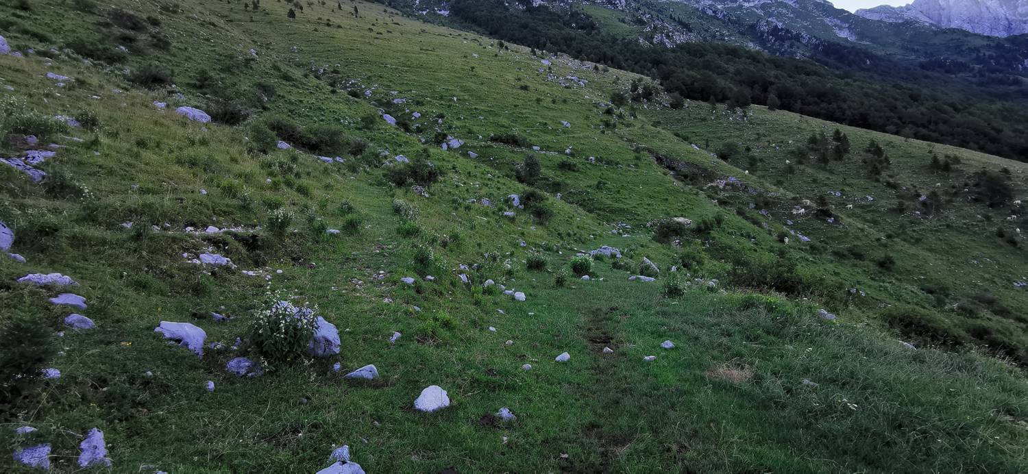 Drežniške Ravne - Lopatnik slika 44