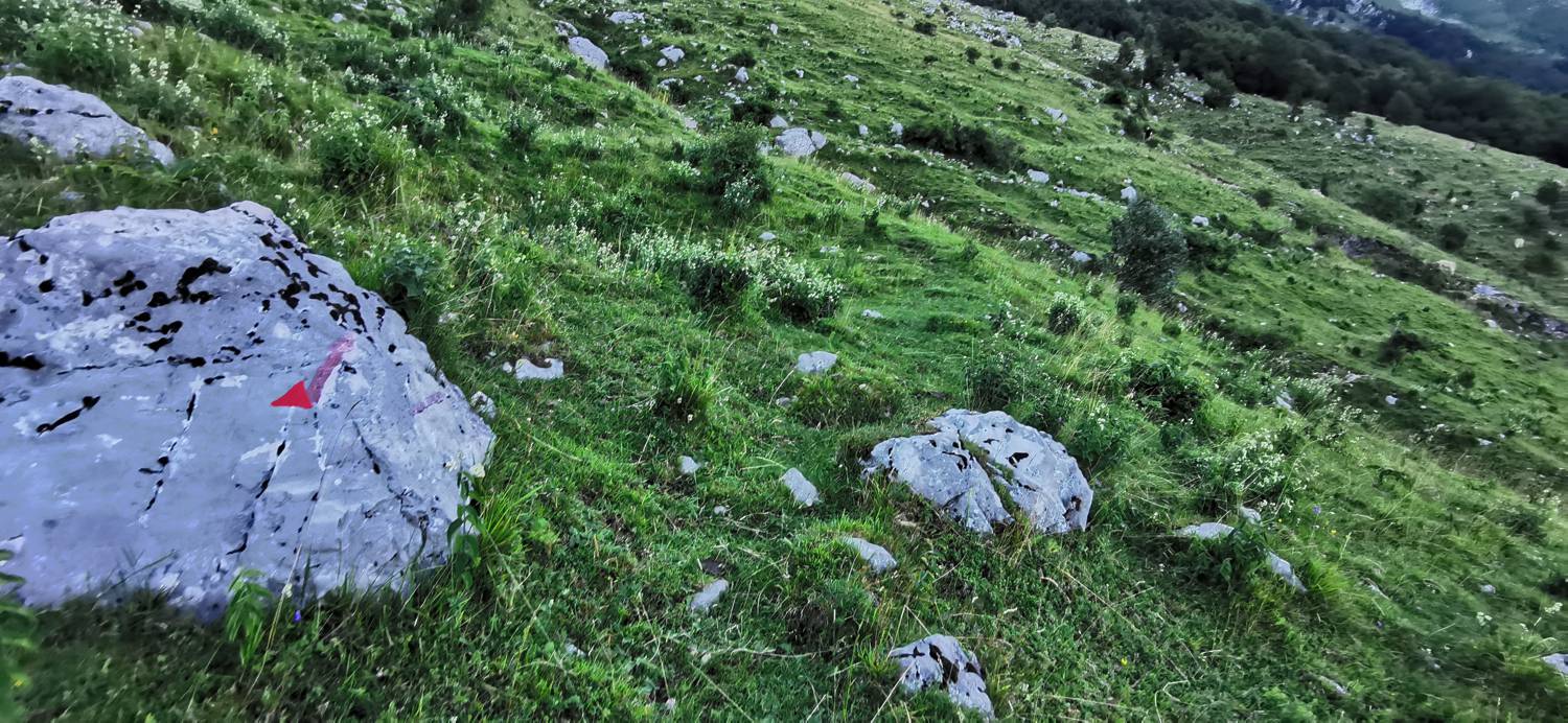 Drežniške Ravne - Lopatnik slika 45